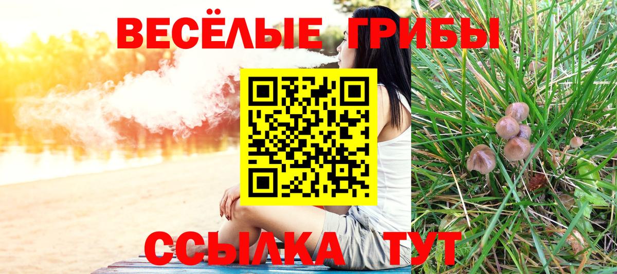 Псилоцибиновые грибы Magic Shrooms Славгород